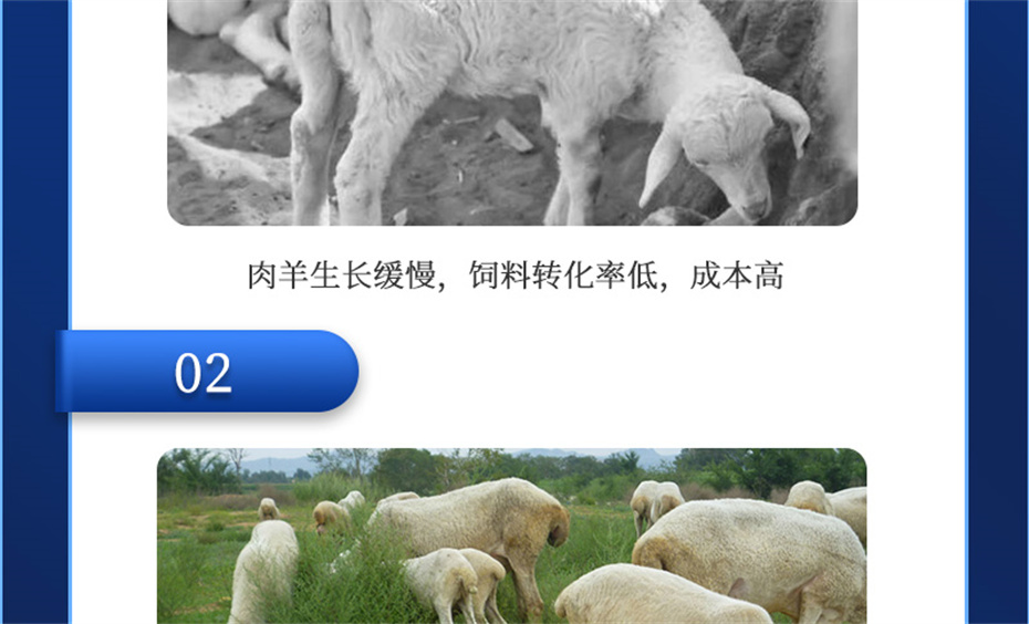 j9�����������������Ӽ��������Ʒ����