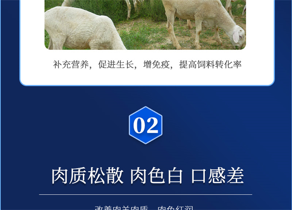j9�����������������Ӽ��������Ʒ����