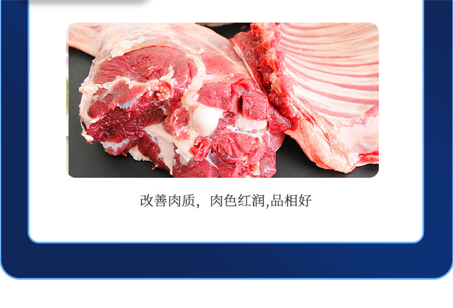 j9�����������������Ӽ��������Ʒ����