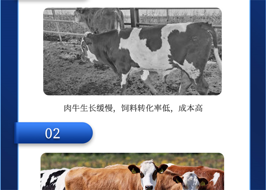 j9��������ţ�������Ӽ���ţ����Ʒ����