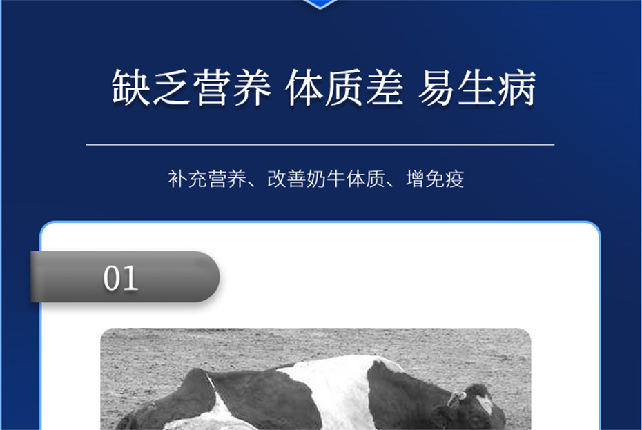 j9��������ţ�������Ӽ���ţ����Ʒ����