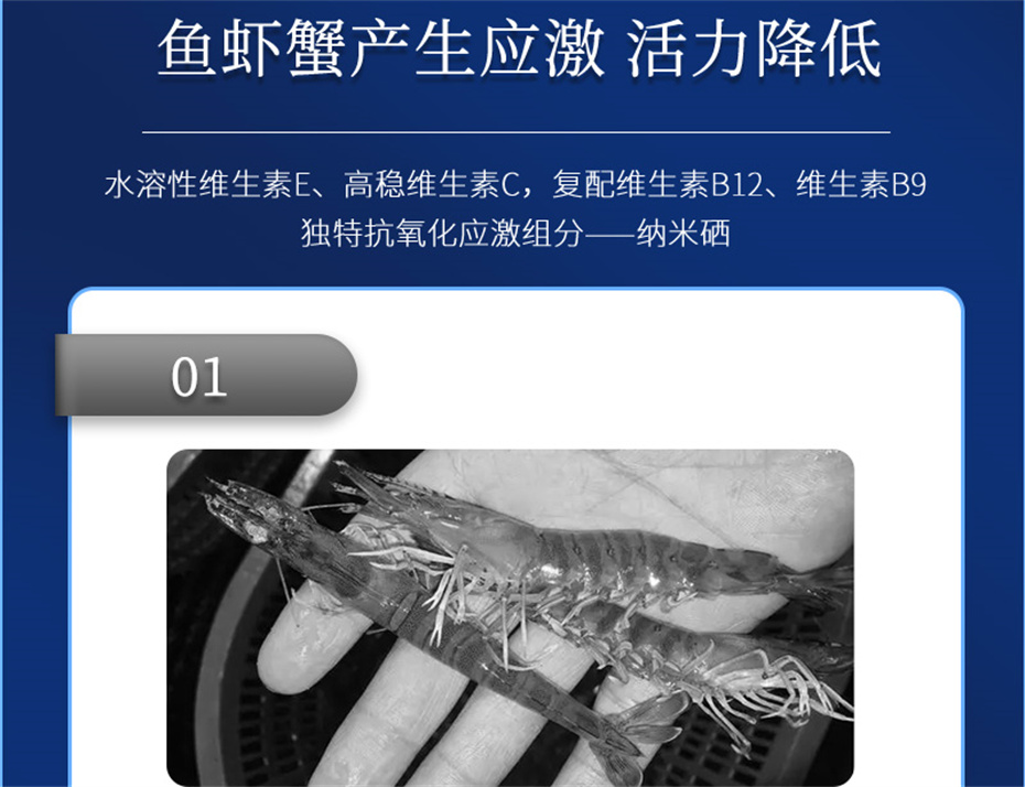 j9��������ˮ���������Ӽ�����1�Ų�Ʒ����