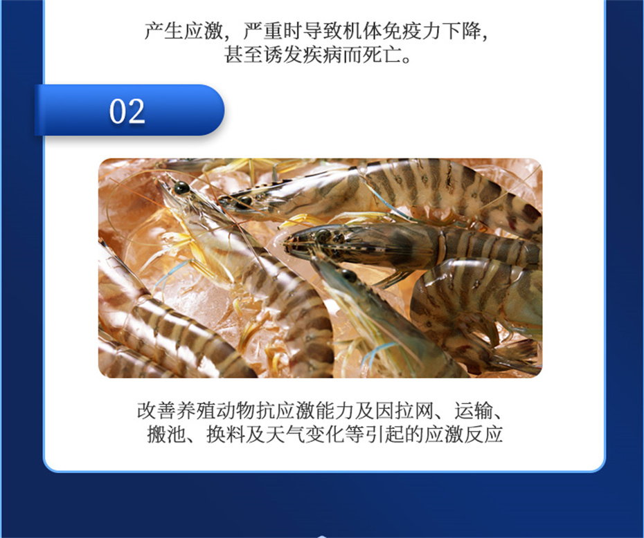 j9��������ˮ���������Ӽ�����1�Ų�Ʒ����