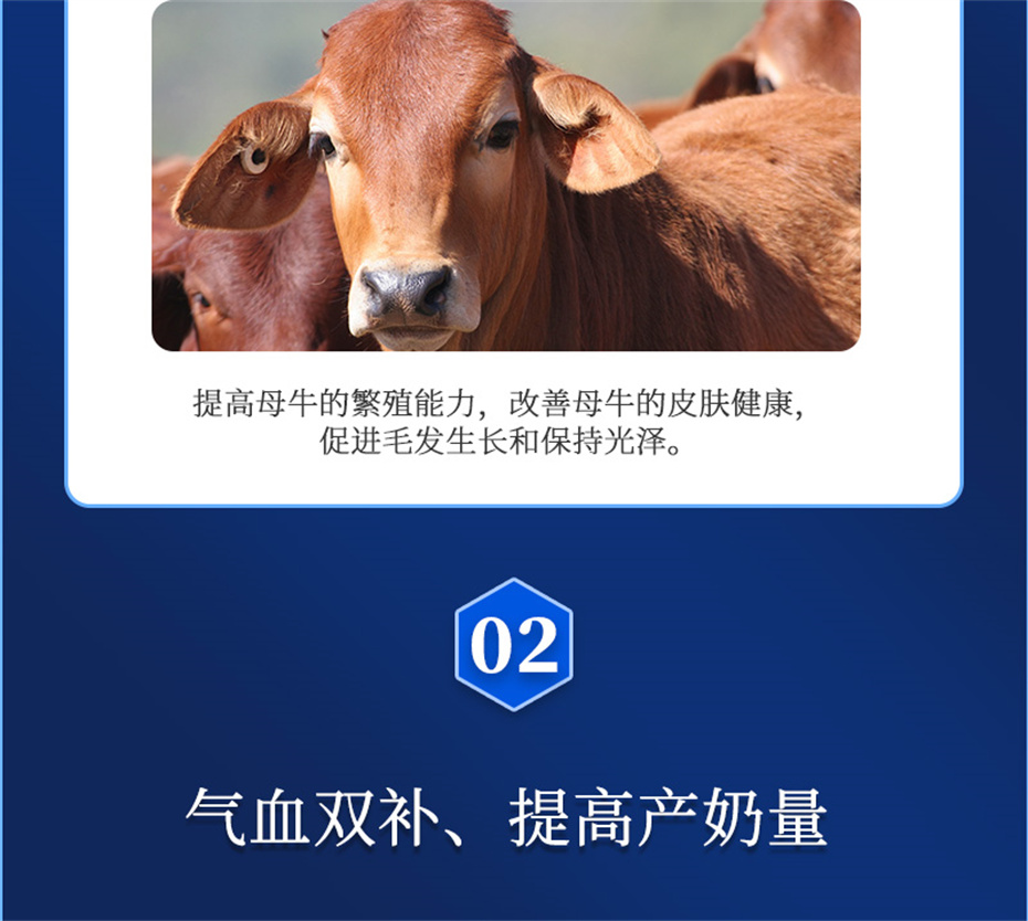 j9��������ţ���������Ӽ�����Ѫţ���Ʒ����
