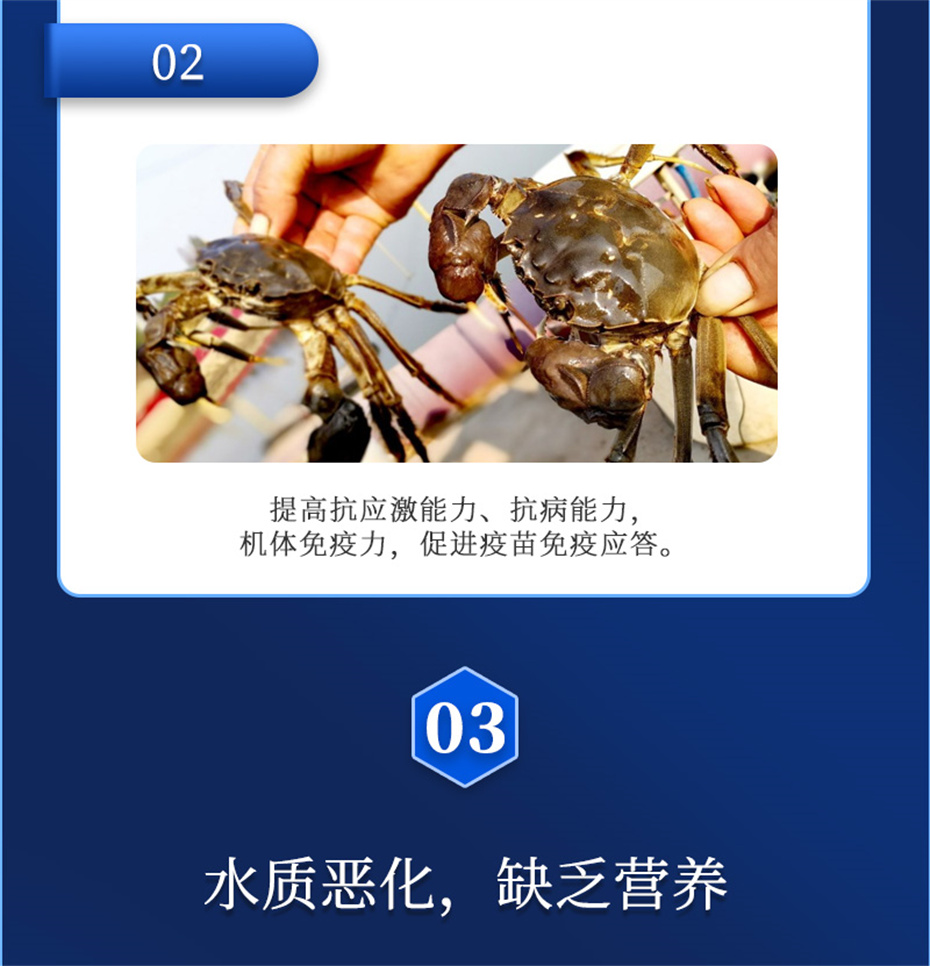 j9��������ˮ���������Ӽ�ά��1�Ų�Ʒ����