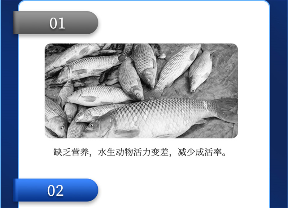 j9��������ˮ���������Ӽ�ά��1�Ų�Ʒ����