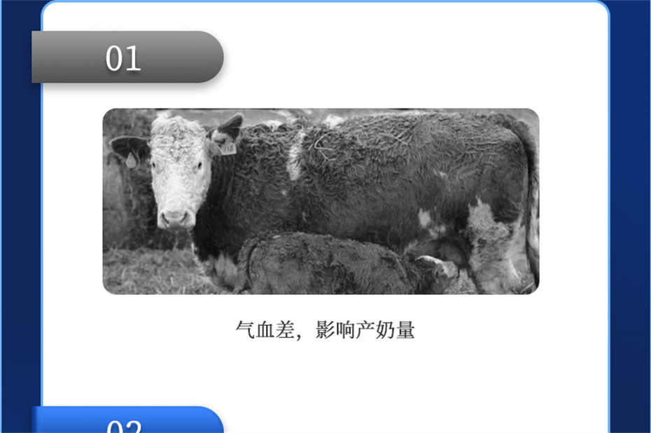 j9��������ţ���������Ӽ�����Ѫţ���Ʒ����
