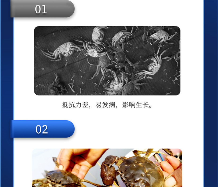 j9��������ˮ���������Ӽ��ε���ˮ����Ʒ����