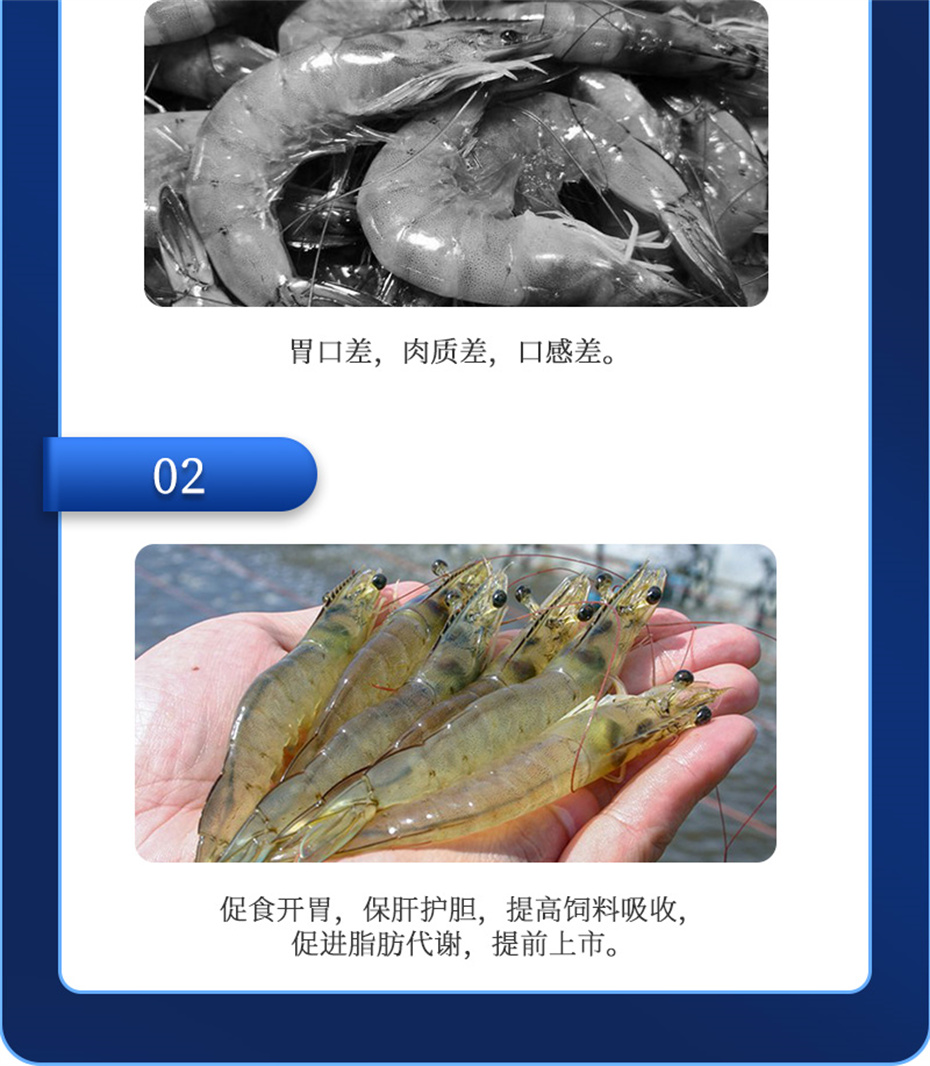 j9��������ˮ���������Ӽ��ε���ˮ����Ʒ����