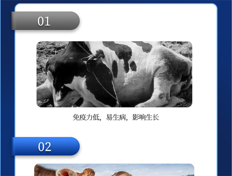 j9��������ţ���������Ӽ�����Ѫţ���Ʒ����