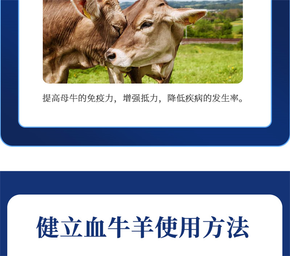 j9��������ţ���������Ӽ�����Ѫţ���Ʒ����