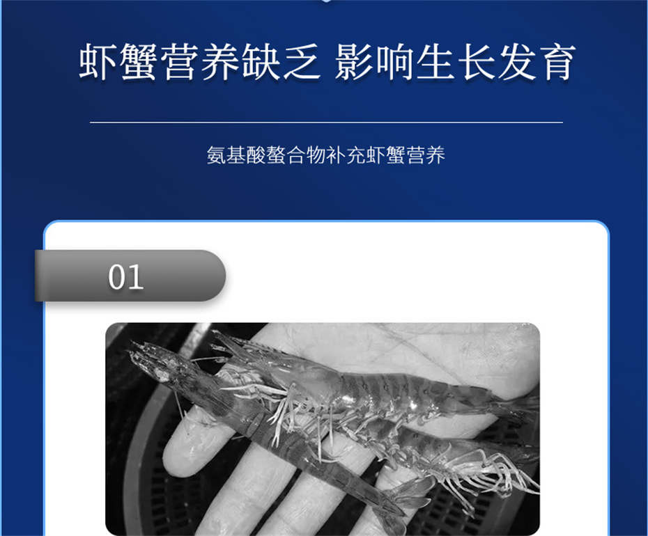 j9��������ˮ���������Ӽ�Ϻ������Ʒ����