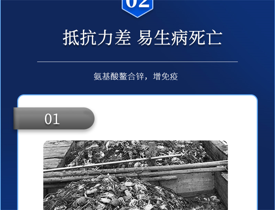 j9��������ˮ���������Ӽ�Ϻ������Ʒ����
