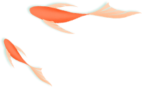 resource/images/494c06eb00a3490f89afb54c1c659e41_4.png resource/images/494c06eb00a3490f89afb54c1c659e41_4.png