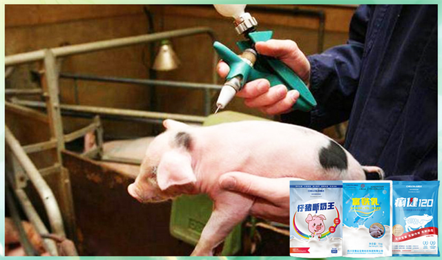 j9���������������Ӽ�