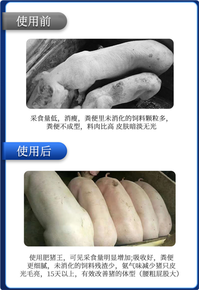 j9����-������ʹ��Ч��
