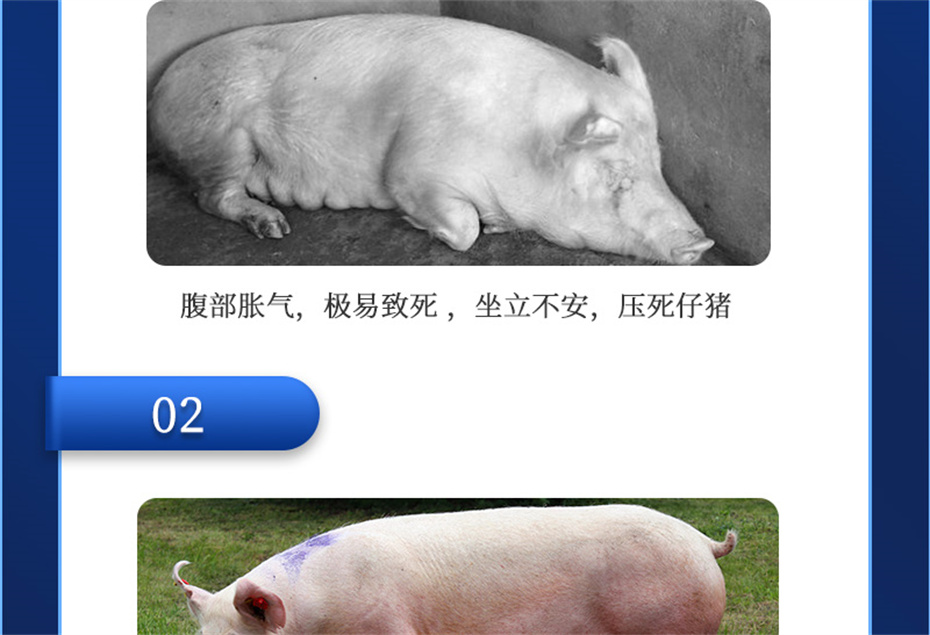 j9�����������������Ӽ�ĸ��ͨ��Ʒ����