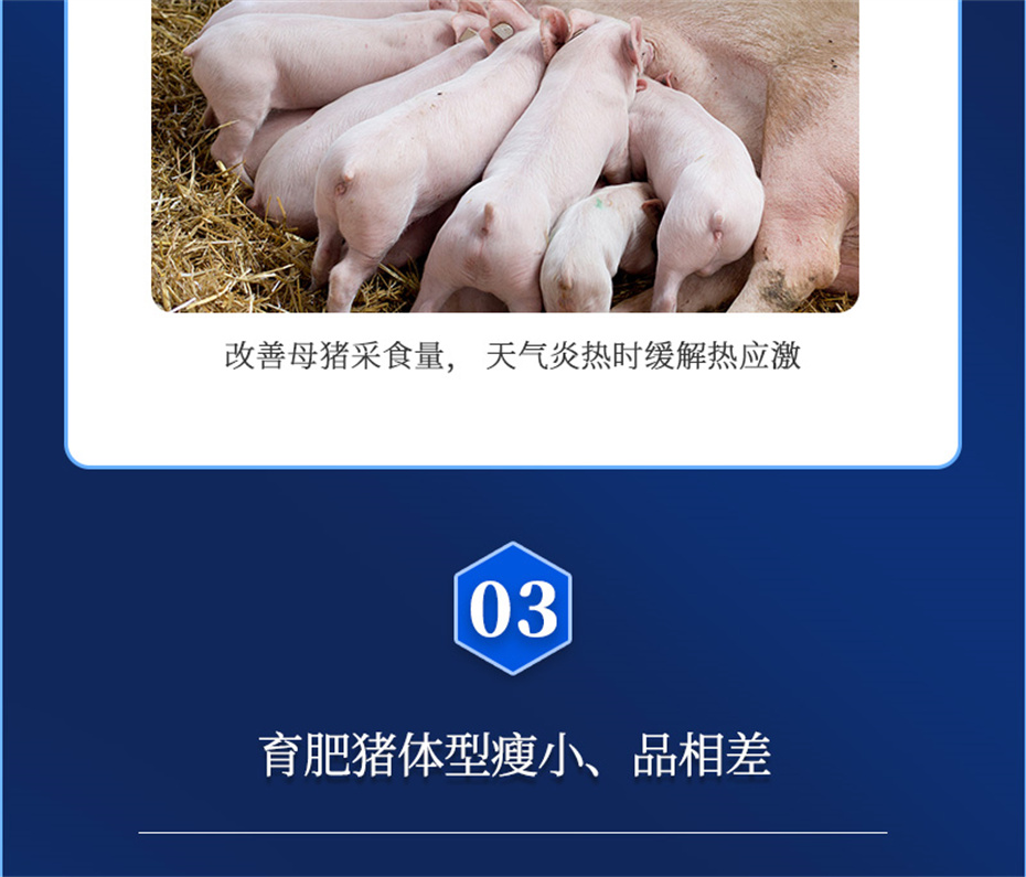 j9�����������������Ӽ�ĸ��ͨ��Ʒ����