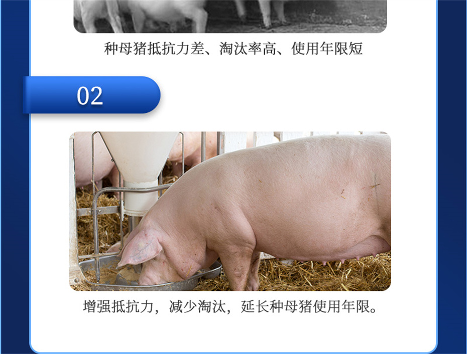 j9�����������������Ӽ���ֳ����Ʒ����