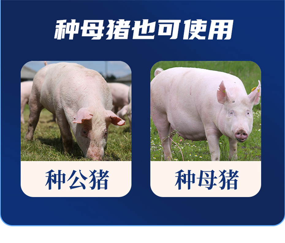 j9�����������������Ӽ���ֳ����Ʒ����