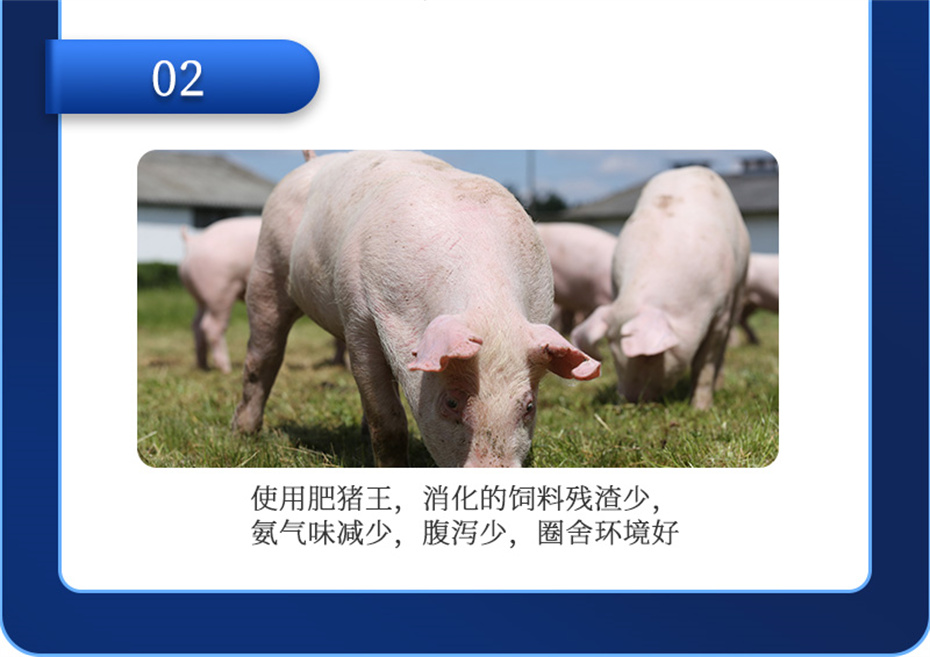 j9�����������������Ӽ���������Ʒ����
