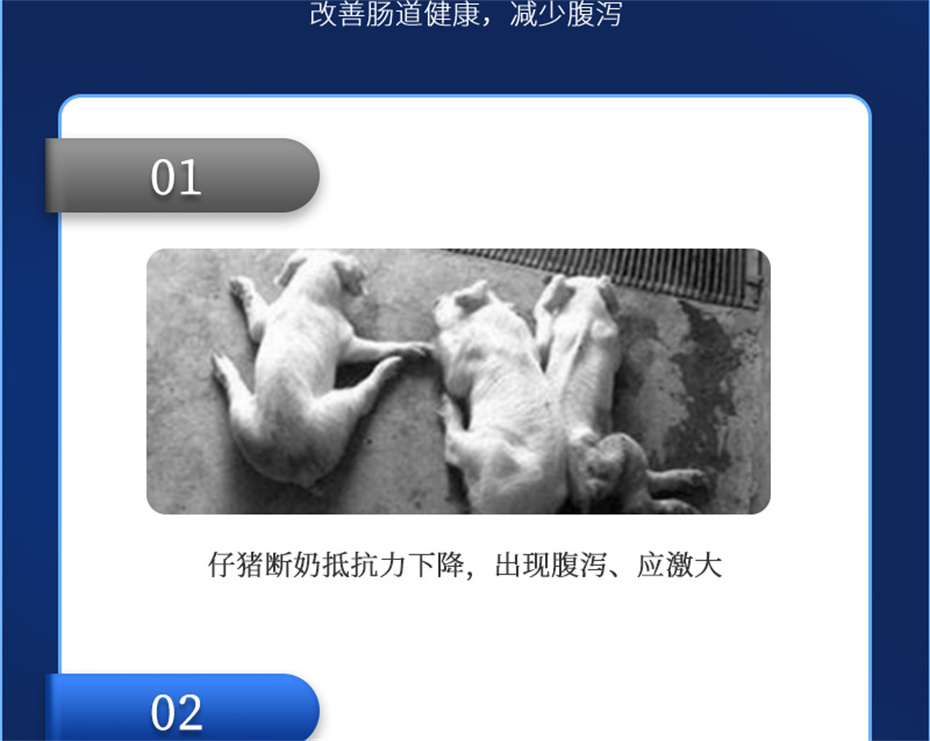 j9�����������������Ӽ�������������Ʒ����