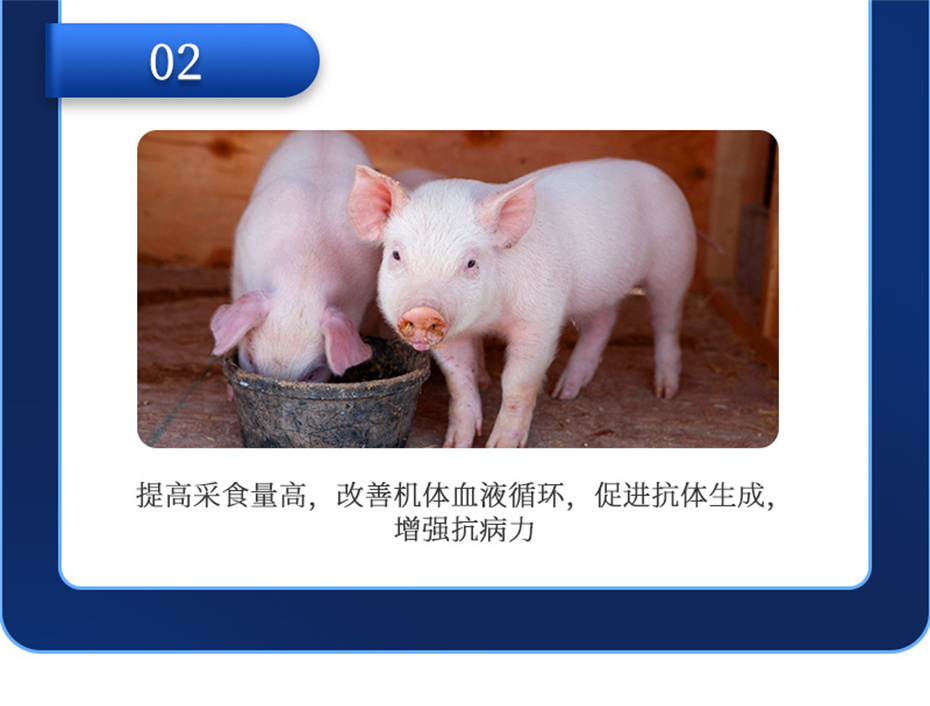 j9�����������������Ӽ�������������Ʒ����