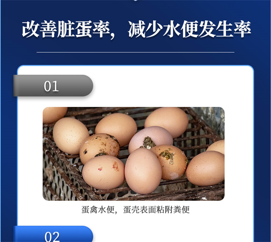 j9�����������������Ӽ�ǿ�Ǳ���Ʒ����