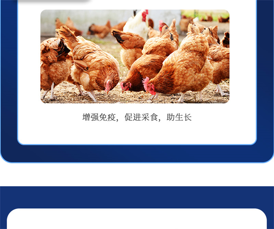 j9�����������������Ӽ�����Ѫ�ݲ�Ʒ����