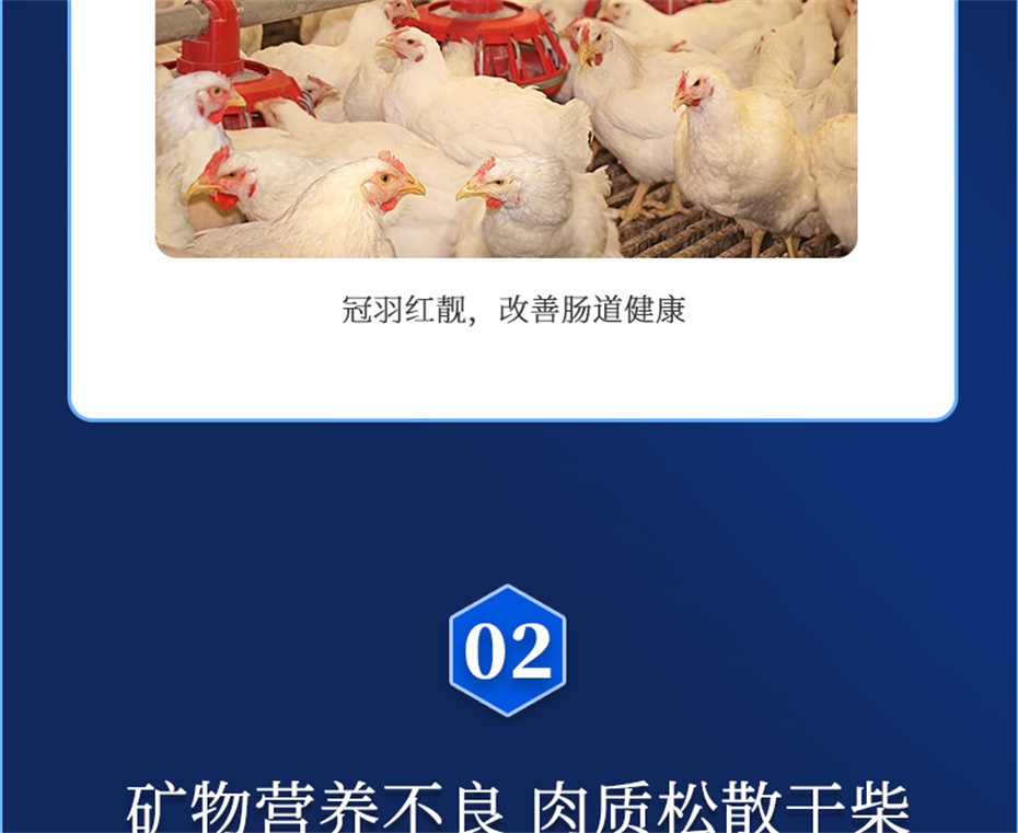 j9�����������������Ӽ����ﱦ��Ʒ����