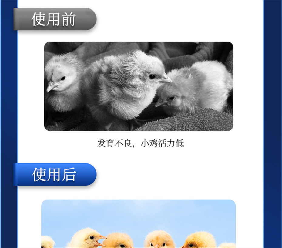 j9�����������������Ӽ���������Ʒ����
