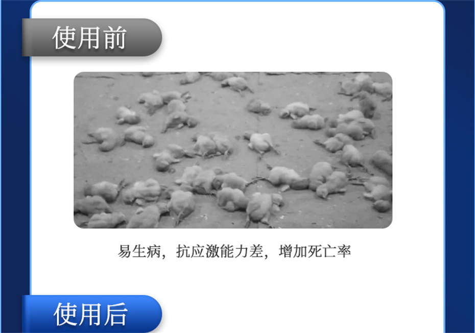 j9�����������������Ӽ���������Ʒ����