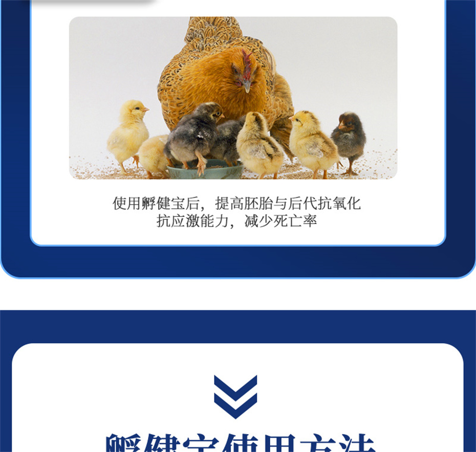 j9�����������������Ӽ���������Ʒ����