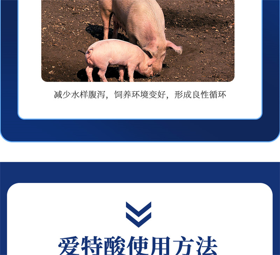 j9�����������������Ӽ��������Ʒ����