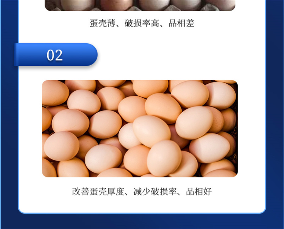 j9�����������������Ӽ�ǿ�Ǳ���Ʒ����