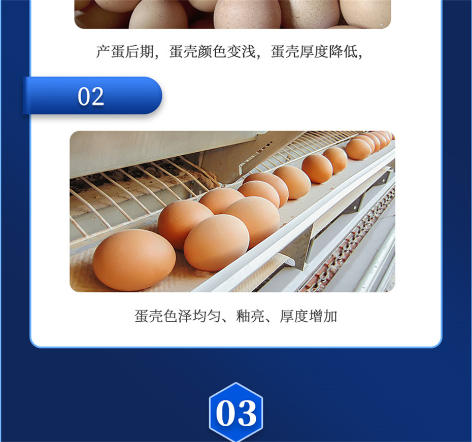 j9�����������������Ӽ�ǿ�Ǳ���Ʒ����