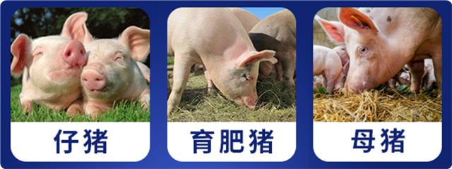 j9�������������Ӽ�