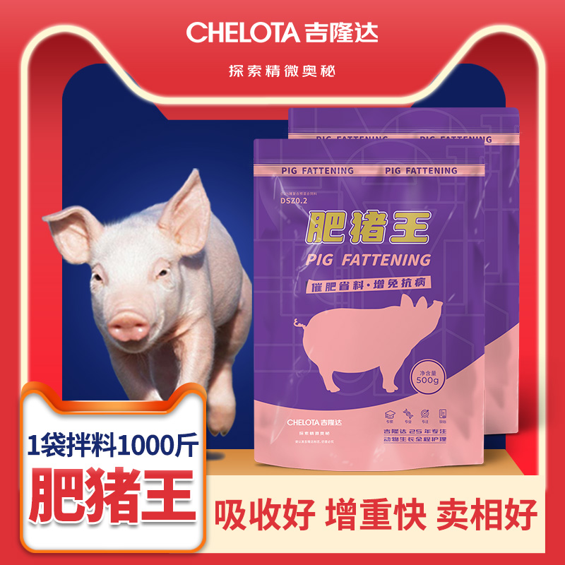 j9�������������������Ӽ�������