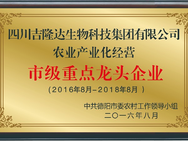 Ȩ����֤����j9�����������ʸ���