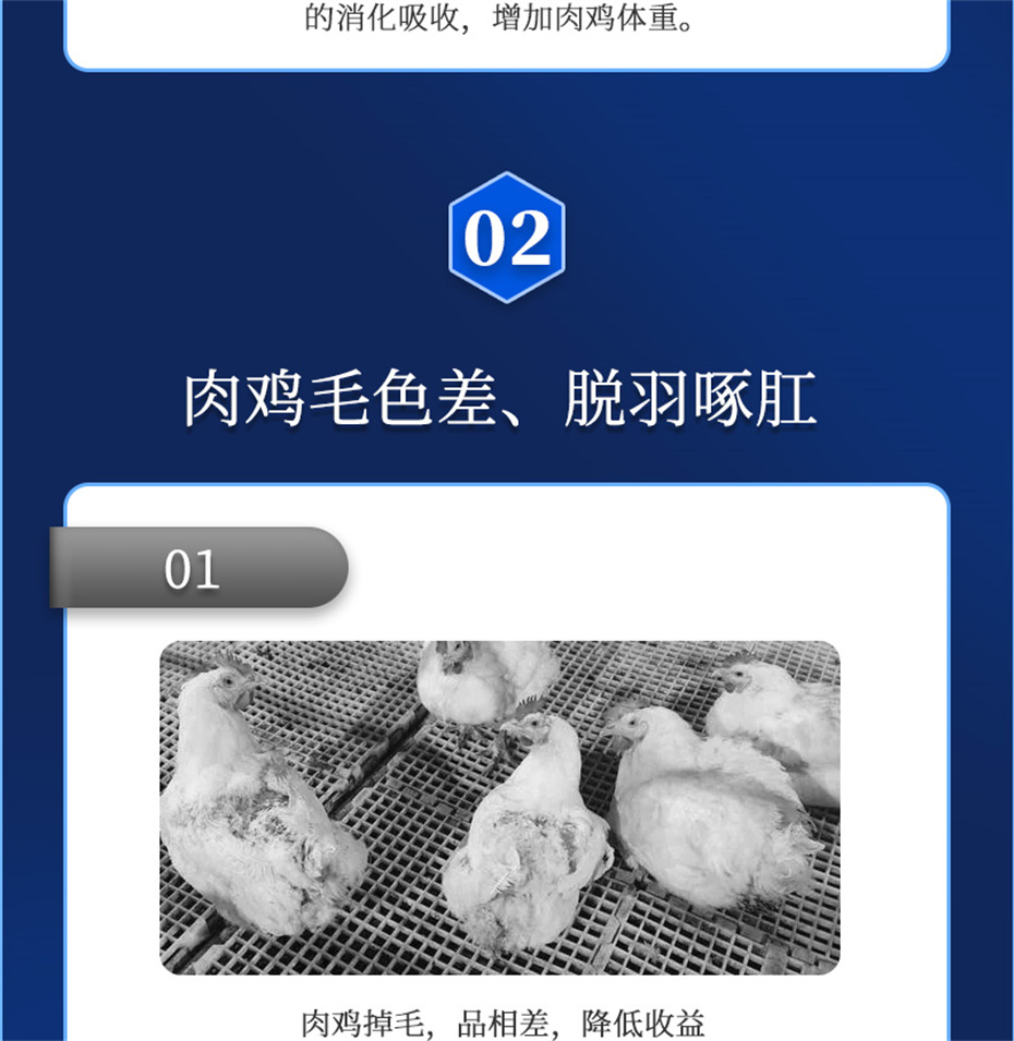 j9�����������������Ӽ������ز�Ʒ����