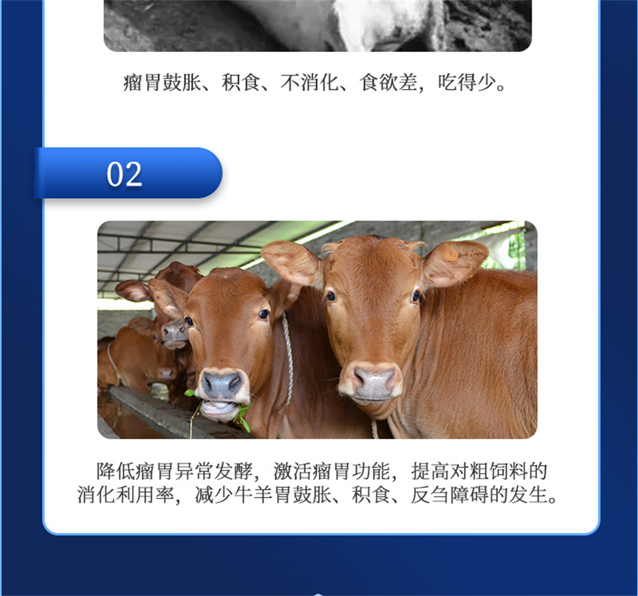 j9��������ţ���������Ӽ�θ��plus��Ʒ����