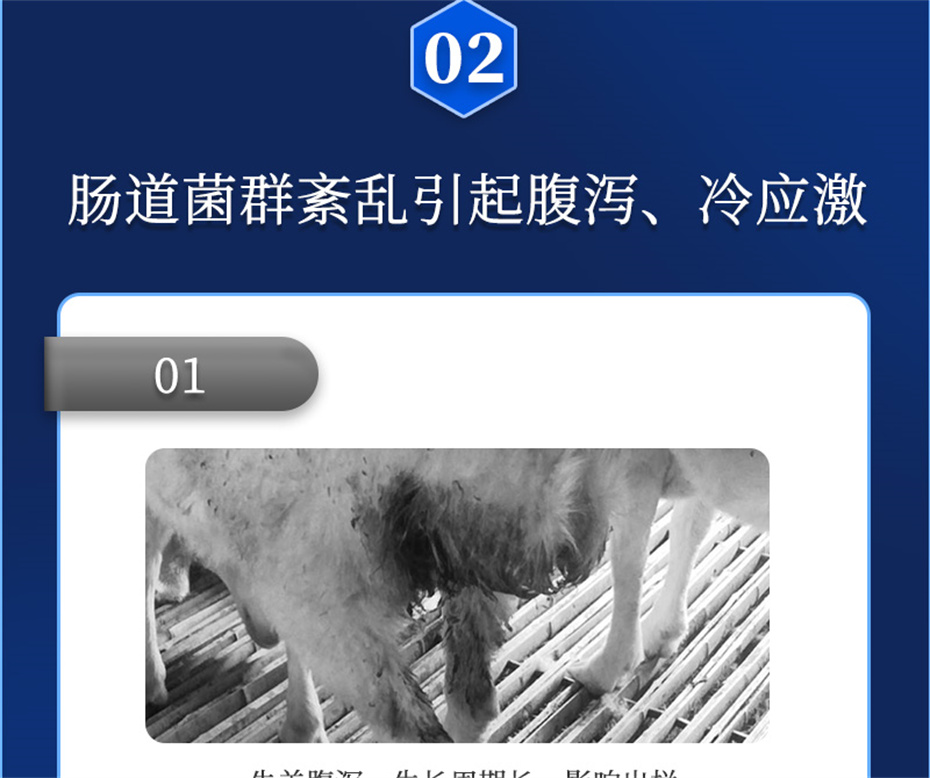 j9��������ţ���������Ӽ�θ��plus��Ʒ����