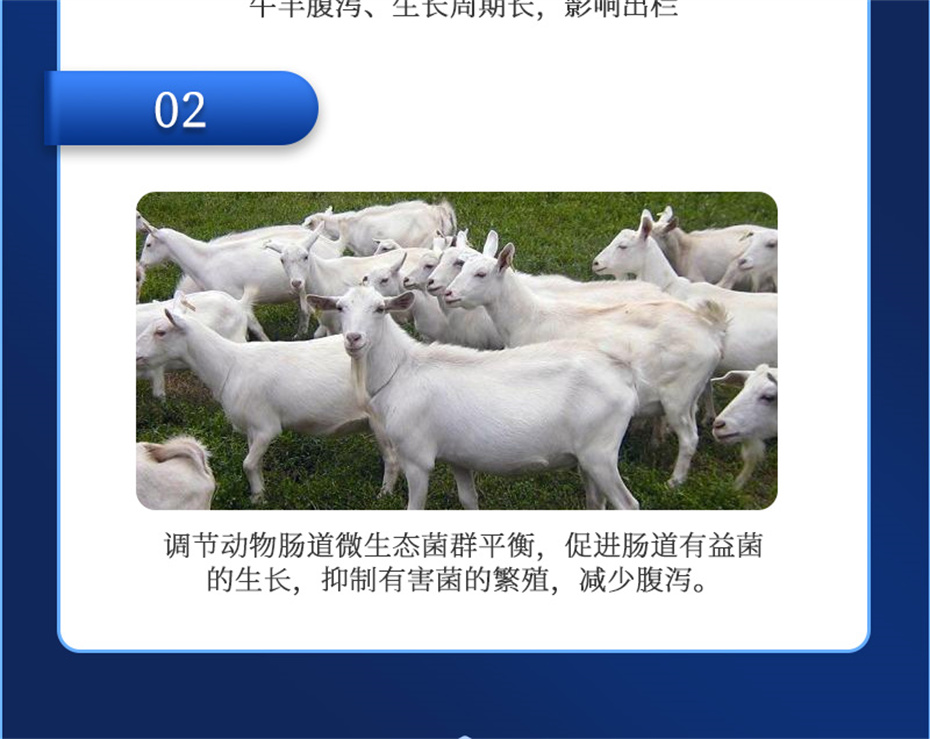 j9��������ţ���������Ӽ�θ��plus��Ʒ����