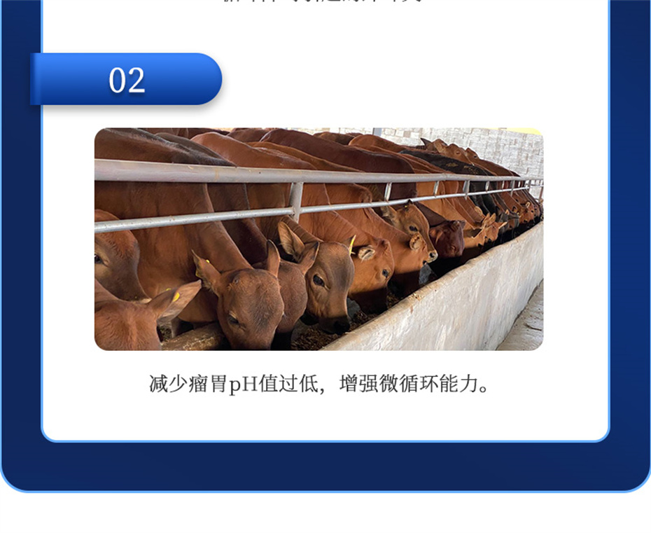 j9��������ţ���������Ӽ�θ��plus��Ʒ����