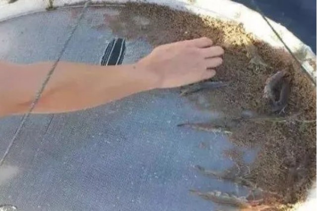 ��Ϻ��ôι
