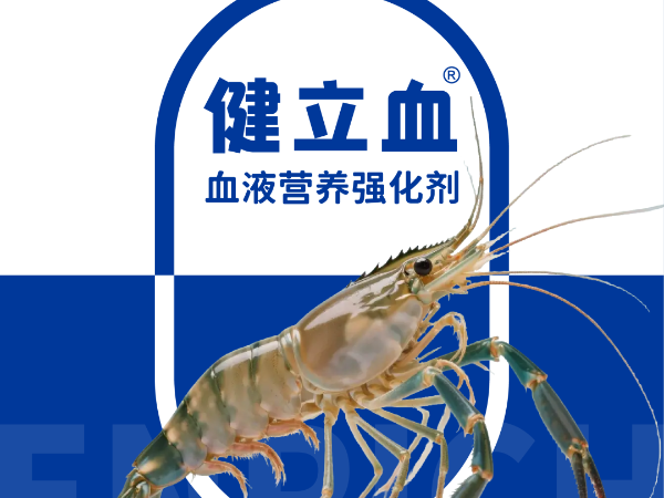 ��ϺҪ��Ѫ��͵��Ӧ�����߲���ԭ������Ϊ����