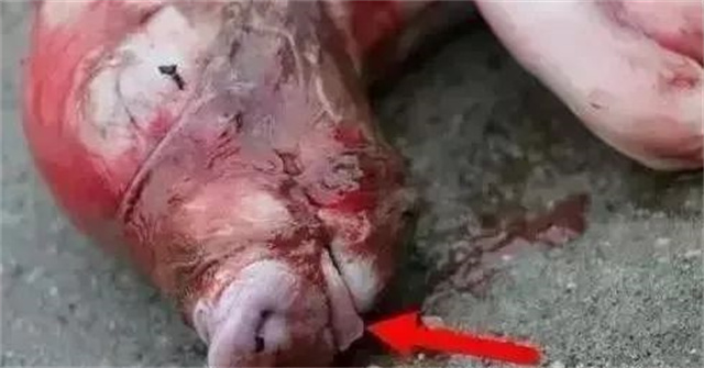 �ж�ĸ���Ƿ�����3������ĸ���ӹ���λ