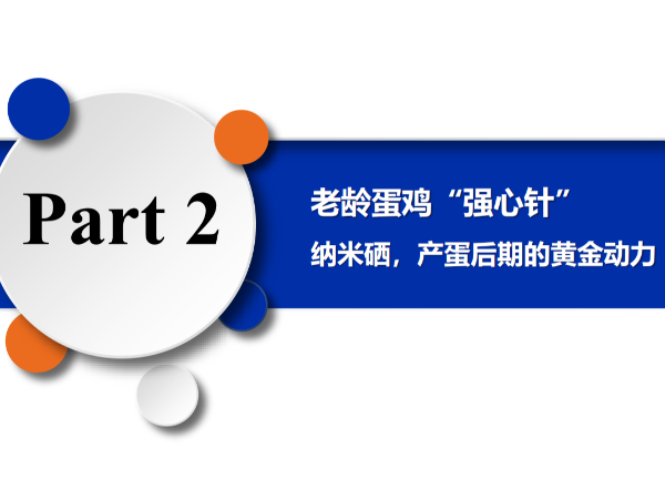 ���䵰����ǿ���롱����Ħ�������������ڵĻƽ���